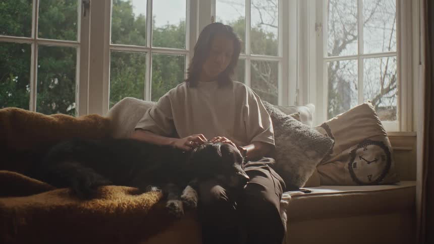 Person sitting on a couch petting a dog