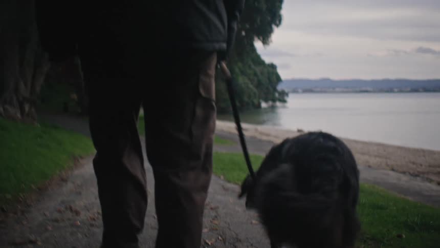 Man wearing a jacket takes a dog for a walk on a path near the beach on an overcast day
