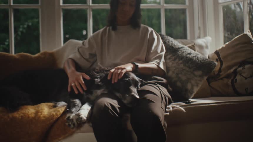 A person is petting a dog on a window seat in a cozy room with large windows and cushions