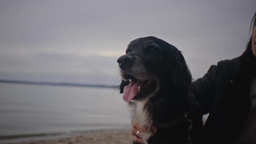 A woman pets a dog on a beach with a lake and a cloudy sky in the background