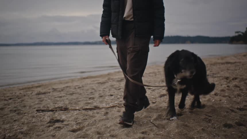Woman walks black and white dog on the beach near the sea on a cloudy day