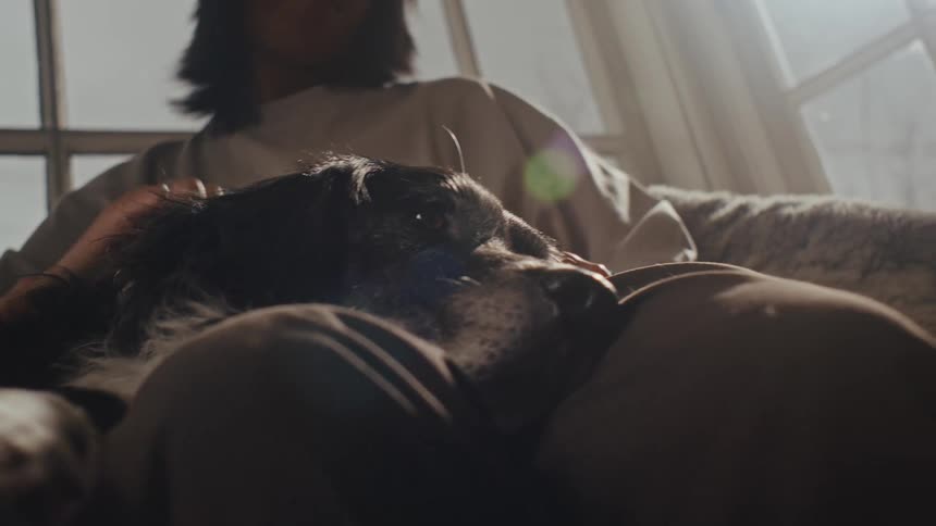 A woman sits on a couch at home petting a dog near a window