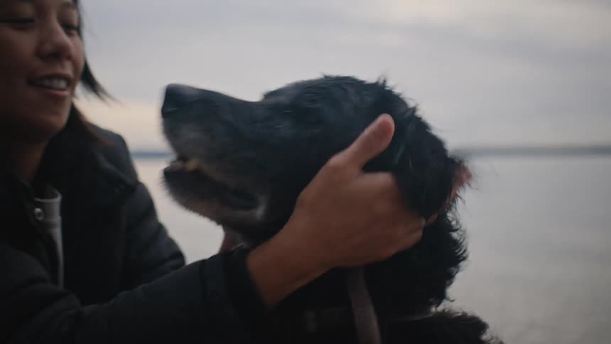 A woman pets a wet dog on a beach with a lake and a cloudy sky in the background