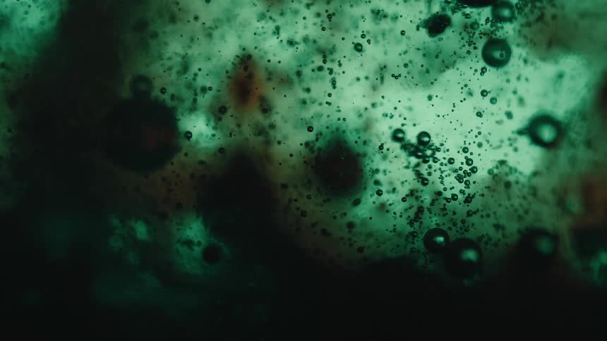 Bubbles form and rise in a green fluid