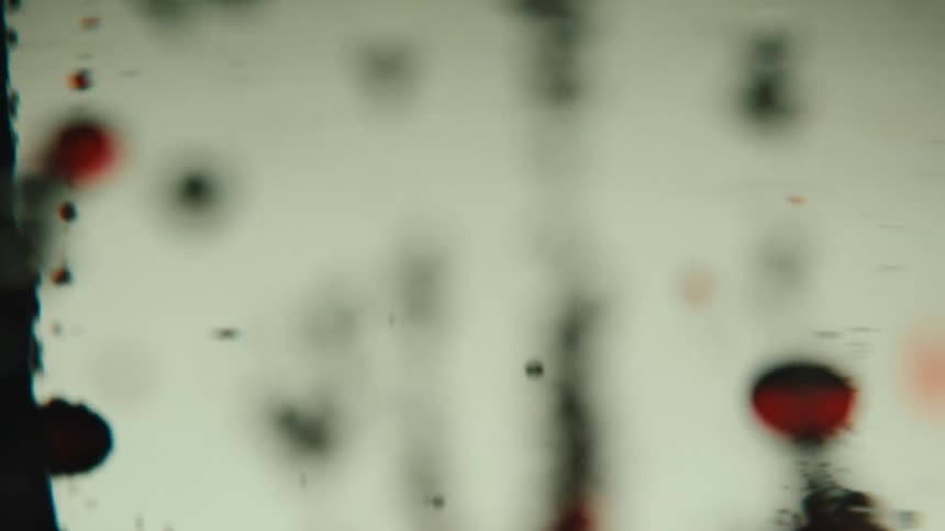 Red and black globs rise and sink through a clear liquid against a white background
