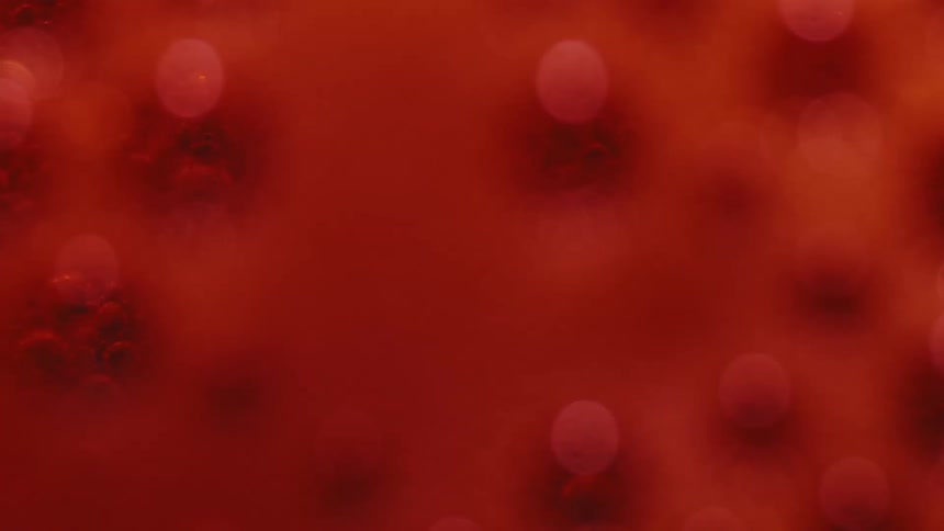 A close up clip of red organisms