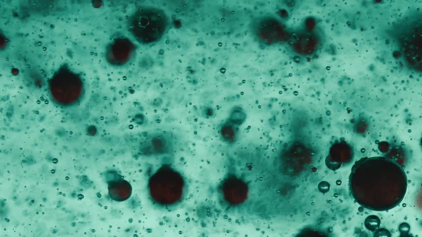 A teal liquid dotted with dark brown bubbles