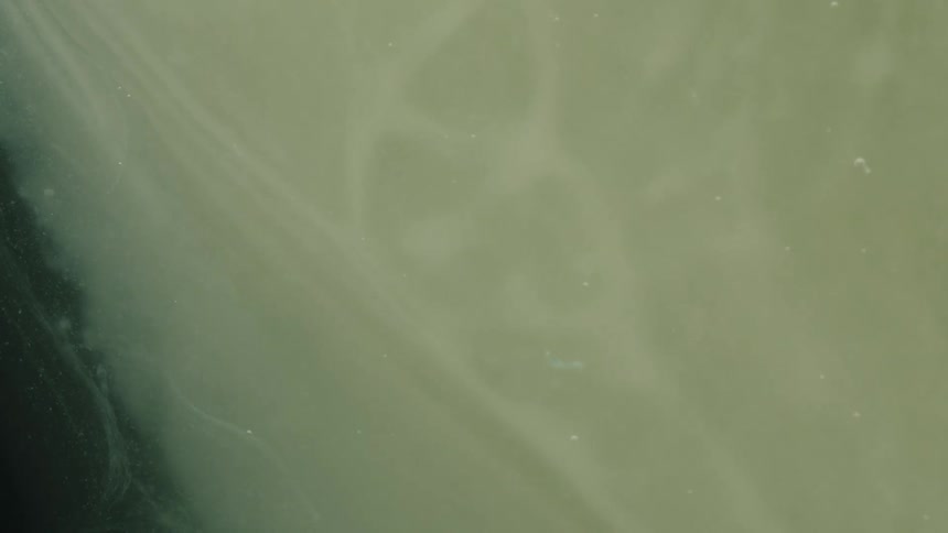 Swirling patterns of pale green and black paint create an abstract marbled design