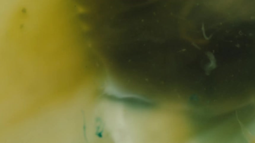 A clip of dirt underwater
