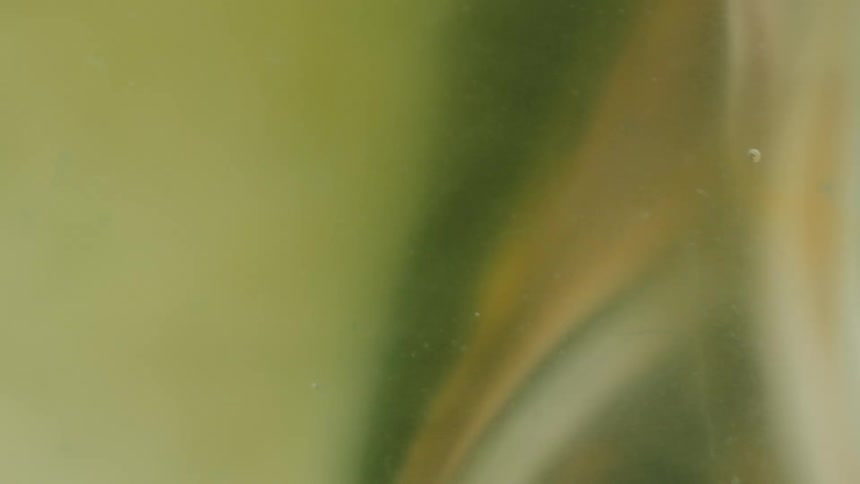 A blurry abstract scene with a green tint