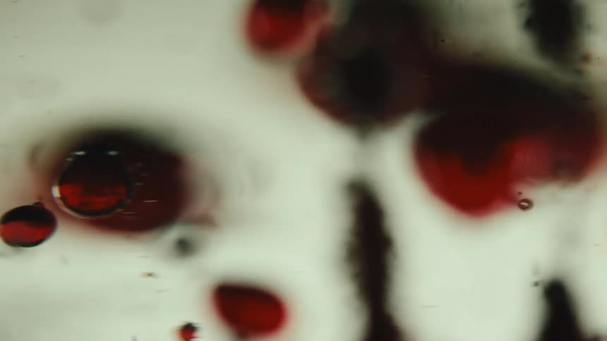 A clip of underwater