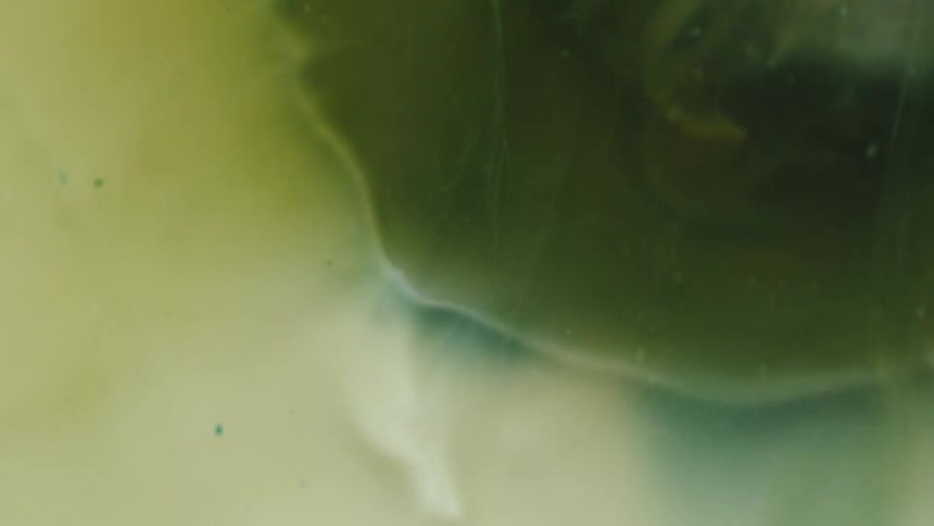 An abstract clip of dirt underwater