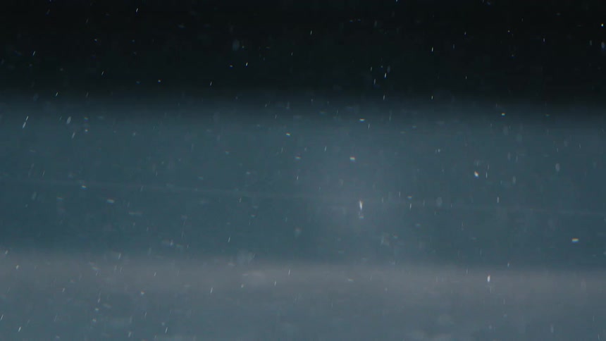 Tiny white particles floating in water