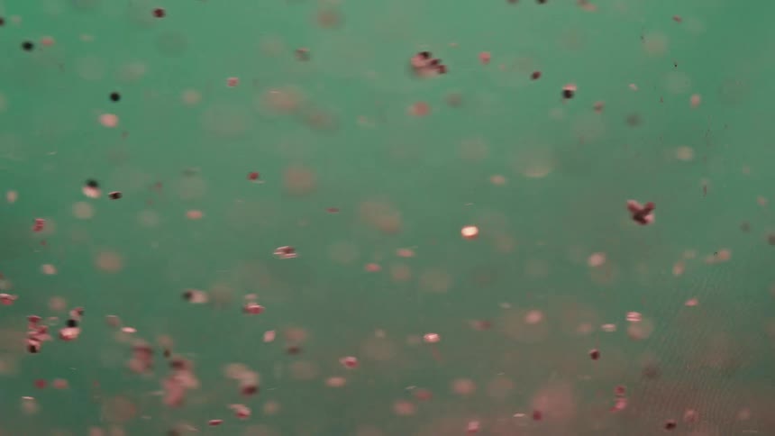 Small metallic disks floating through a blue liquid reflect the light