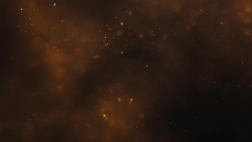 A dark background with golden particles floating and shimmering