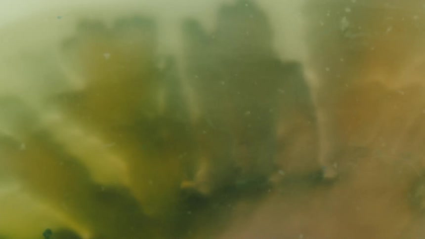 An under water clip