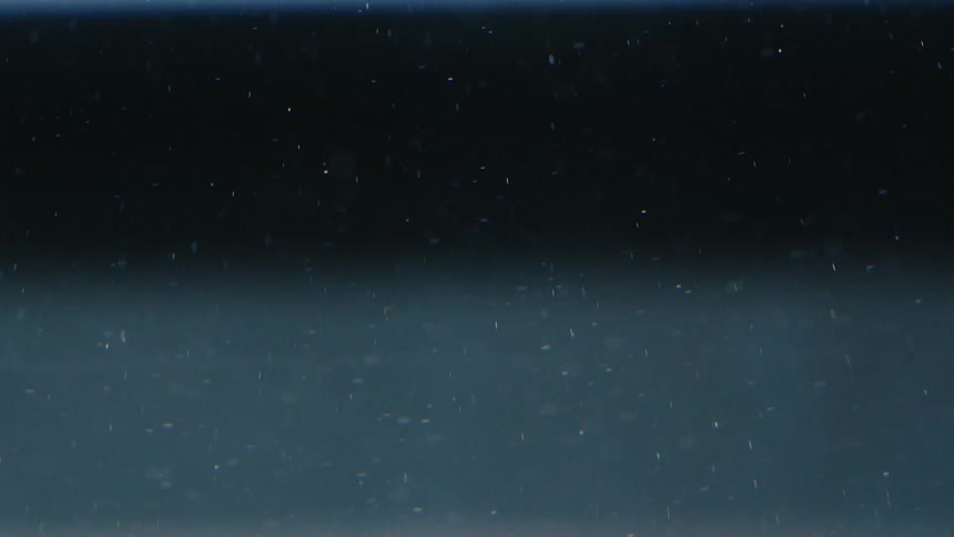 Particles floating in dark water