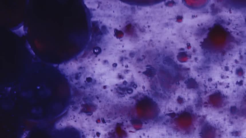 Close up or bubbles of red ink rising and sinking on a purple liquid