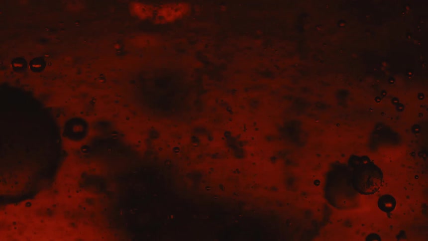 Air bubbles and dark particles floating on a red translucent liquid