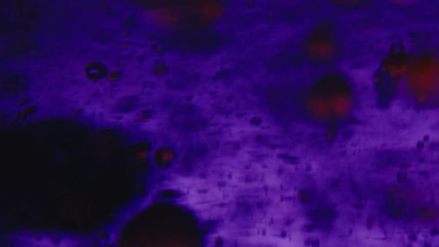 Blobs of a substance move through a fluid that changes colors from orange to purple