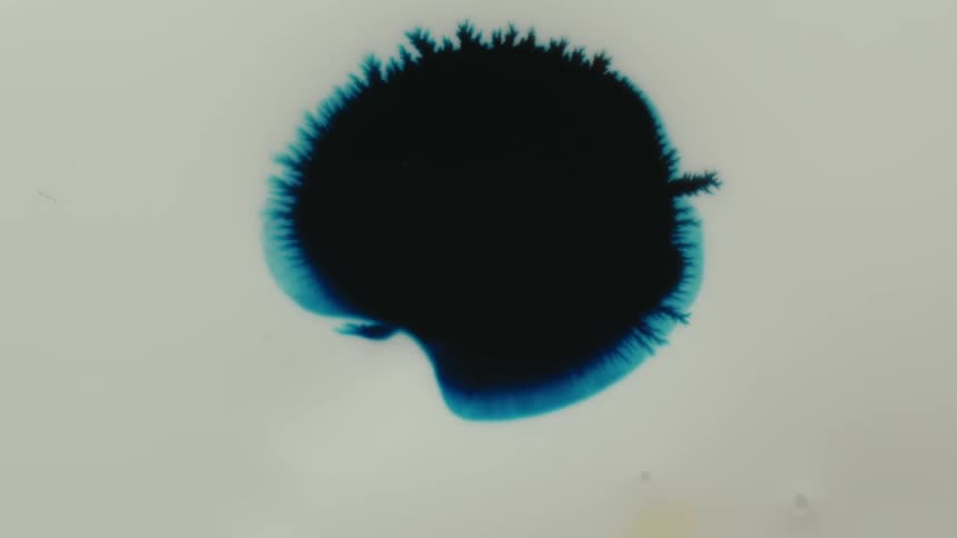A dark blue inkblot spreads across a white surface