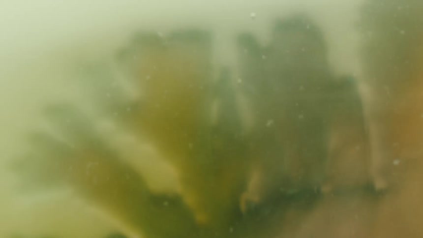 Abstract particles and reflection in liquid