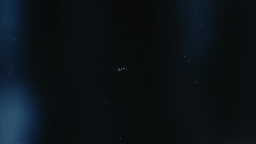A dark blue liquid is sprinkled with small blue sparkly dots