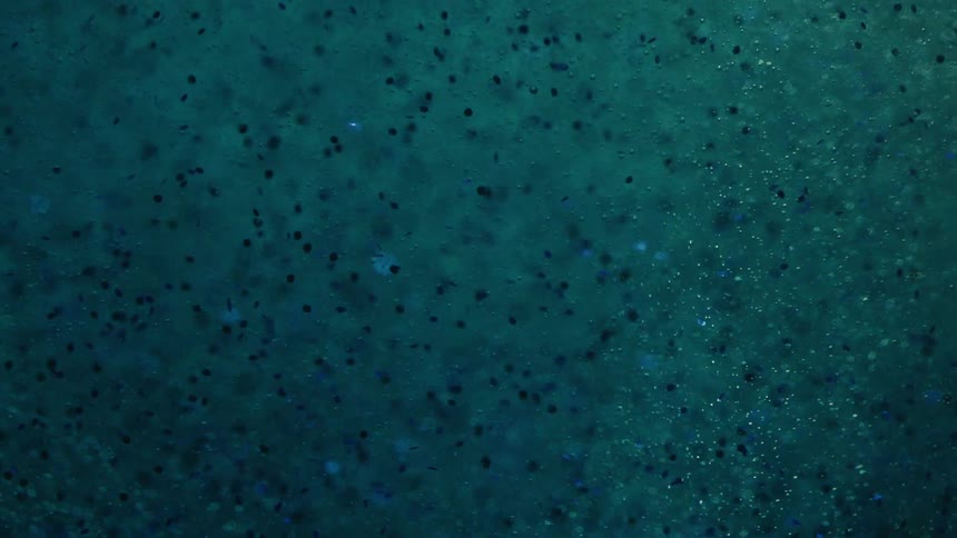 Closeup of a liquid with shiny balls in abstract motion