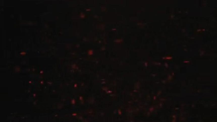 Tiny glowing red particles float and spin in a dark expanse