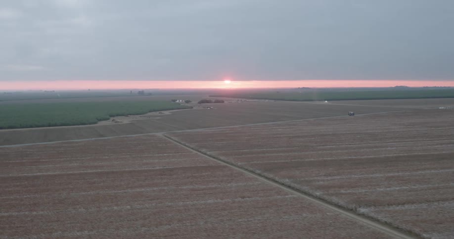 Aerial view of a cotton field and the sun on the horizon