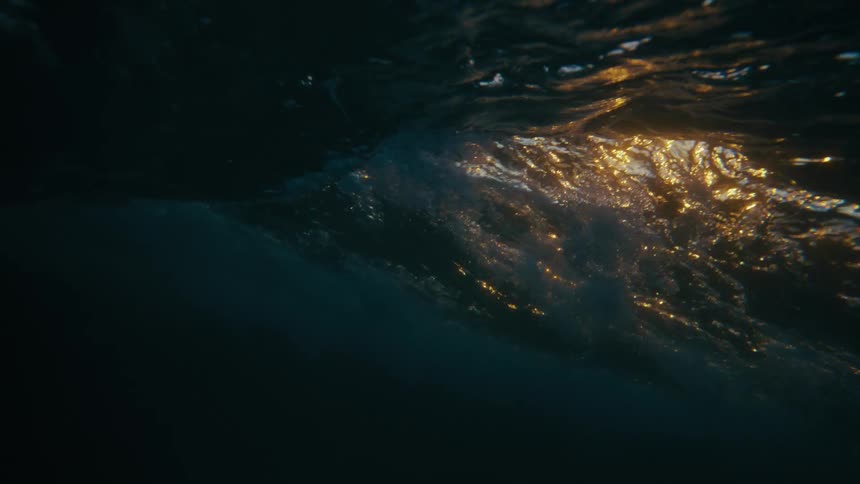 Silhouetted figures wait patiently on their surfboards as a massive wave approaches illuminated by the fading sunlight
