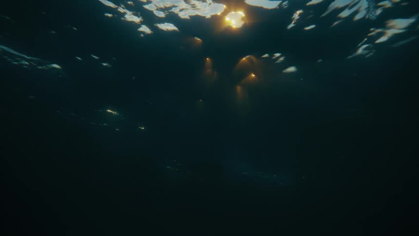 Underwater scene with fish swimming beneath the faint reflection of a golden sun