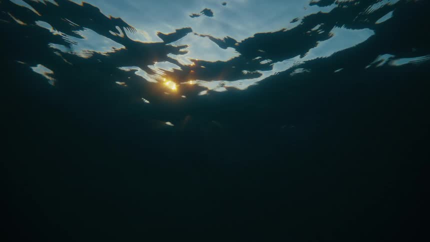 Sunlight filters through the water creating a shimmering ethereal effect