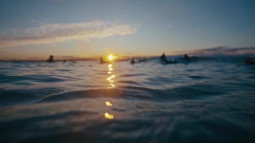 A number of surfers float on the water and then ride a wave when it arrives
