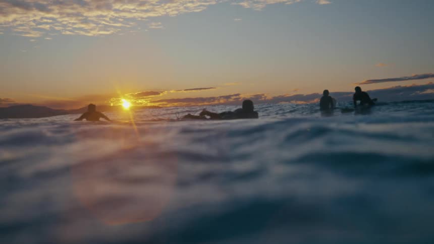 A group of surfers on surfboards floating on a calm ocean at sunset