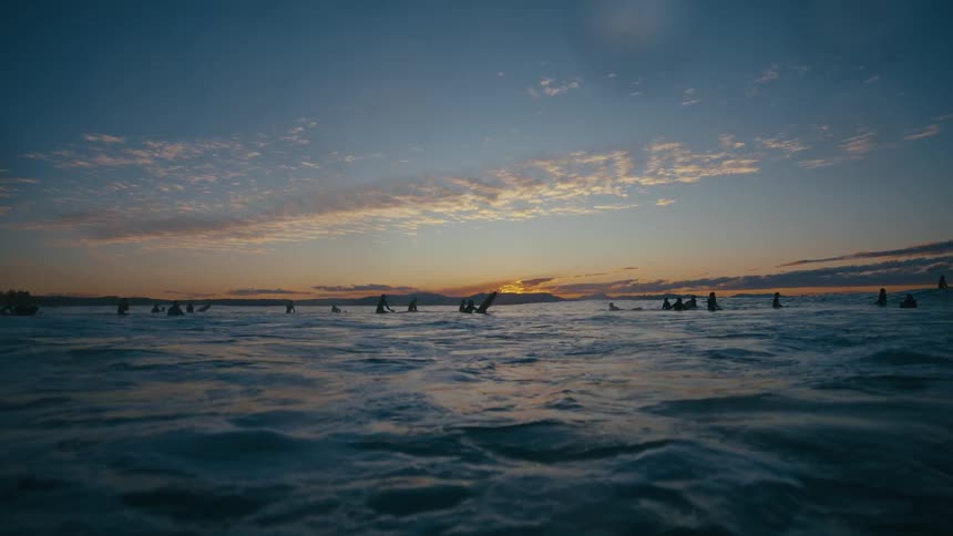 A group of surfers on surfboards floating in a calm ocean at sunset