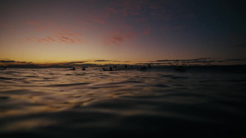 Silhouette of surfers in the sea at sunrise