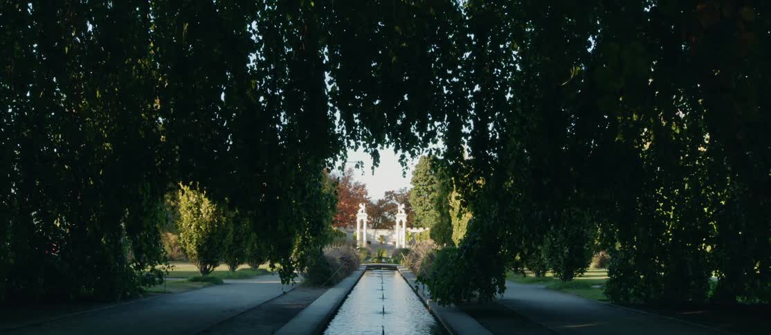 Path crosses a garden flanked by tall trees that form a natural arch