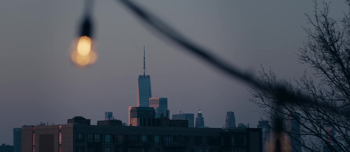 A light bulb hangs in the foreground with the new york city skyline visible in the distance