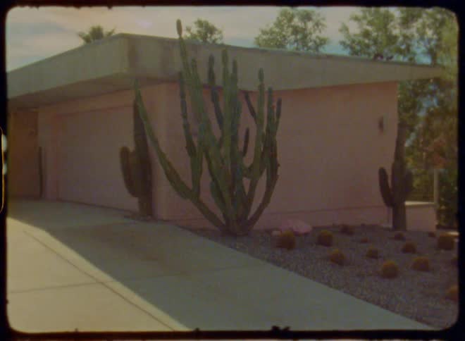 A large cactus is in the yard of the home