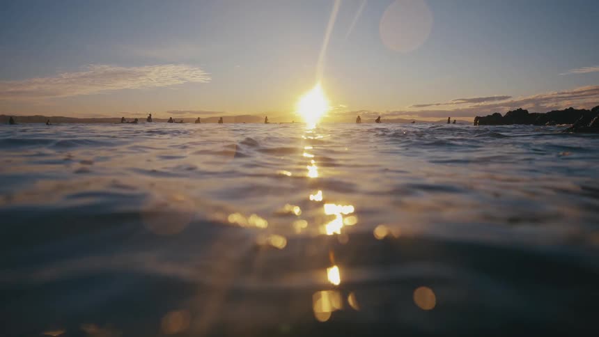 Silhouette of surfers floating over surfboards on a calm ocean at sunset