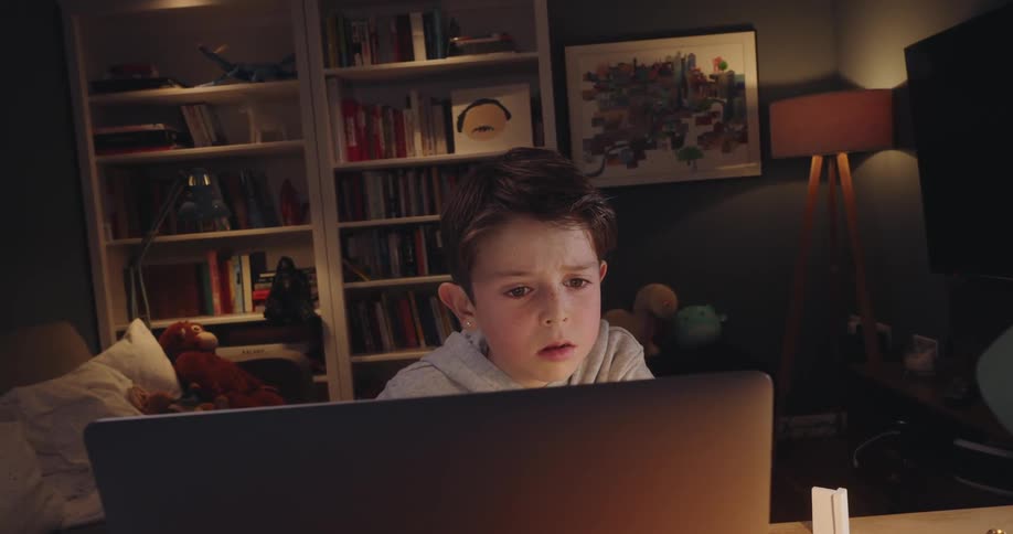 Little boy sitting in front of the laptop