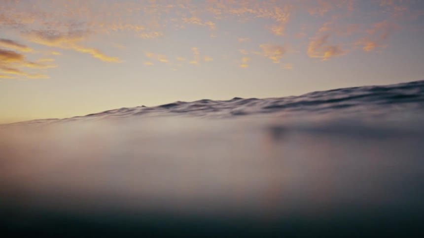 Silhouette of surfers in the sea in a morning