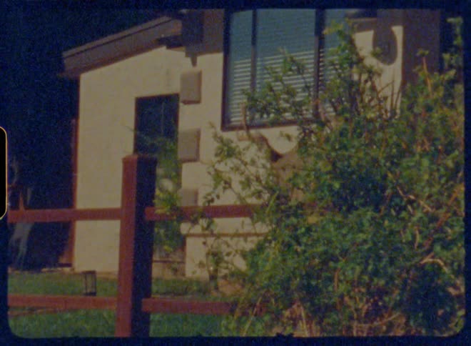Deer jumping and walking in front of a house