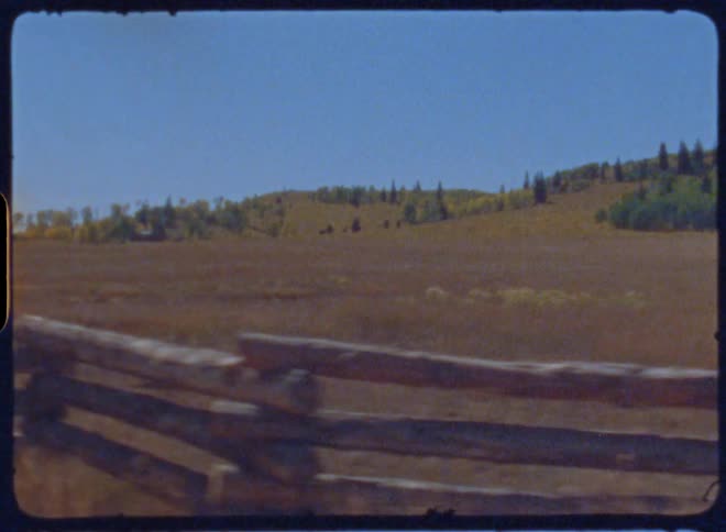 A log fence runs across the field