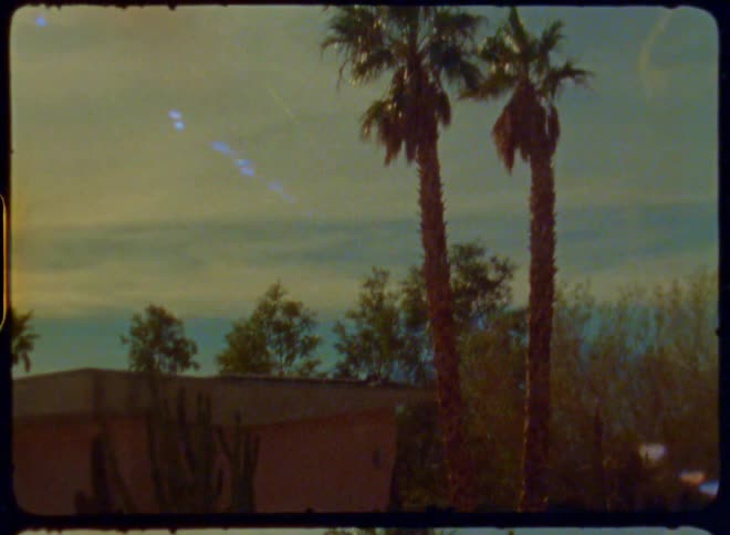 A film clip of a tropical area