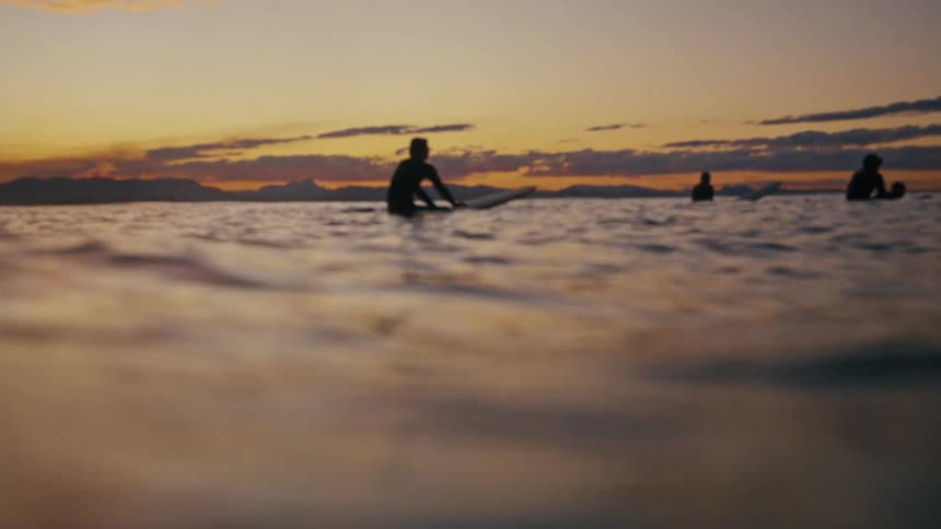 Silhouette of surfers floating over surfboards on a calm ocean at sunset