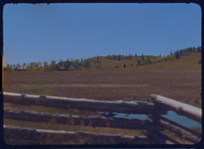 A small pond is behind the wooden fence