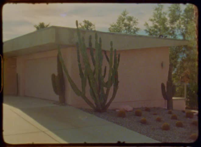 A midcentury modern home with a distinctive pink facade adorned with tall slender cacti and surrounded by a gravel driveway