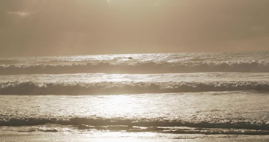 Seascape during sunrise with waves approaching the shore and a bird flying above the water